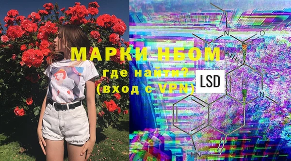 кокс Белокуриха
