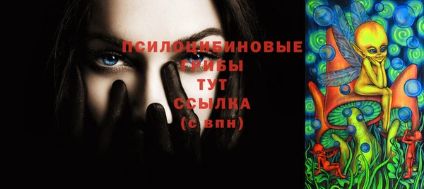 кокс Белокуриха