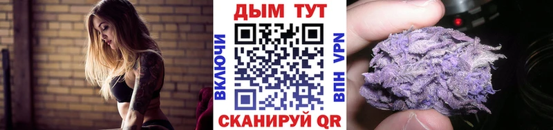 Марихуана план  Дагестанские Огни 